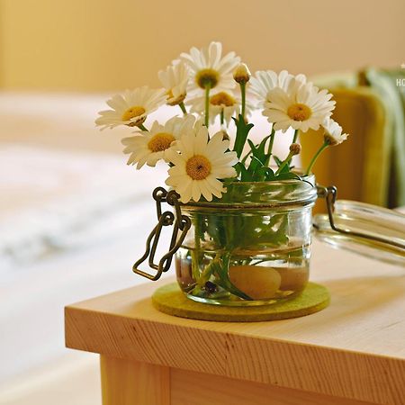 Hotel B&B "Zur Schanz" Ebbs Exteriér fotografie