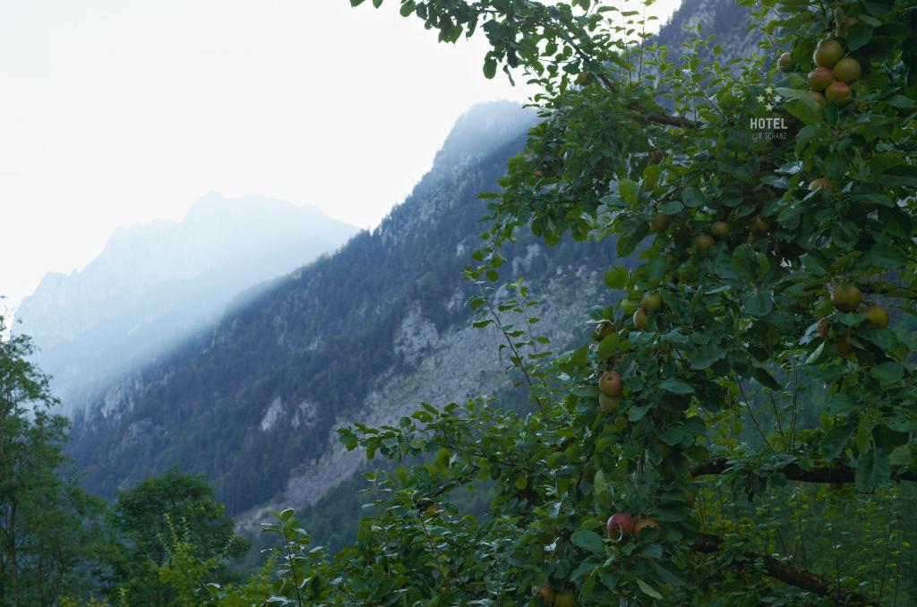 Hotel B&B "Zur Schanz" Ebbs Exteriér fotografie
