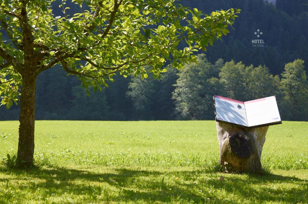 Hotel B&B "Zur Schanz" Ebbs Exteriér fotografie